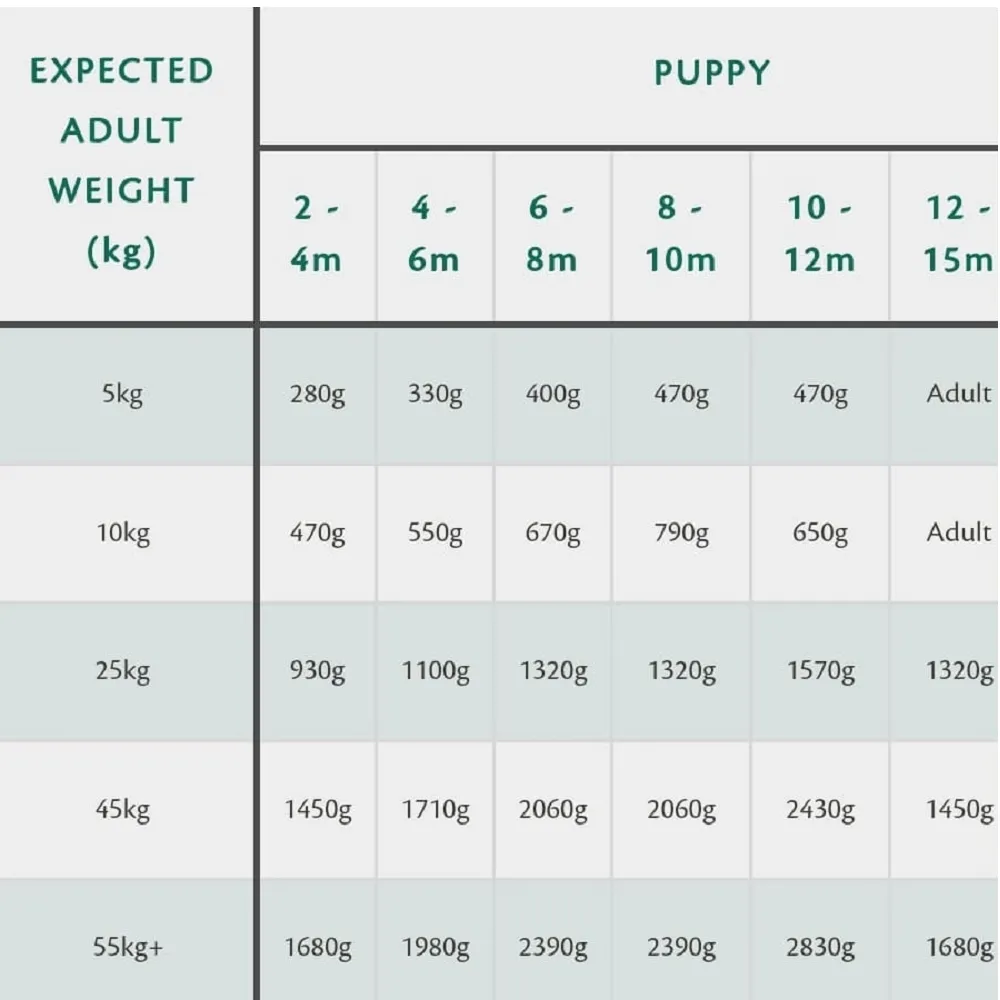80% Gourmet Sausage Fresh Duck Wet Dog Food