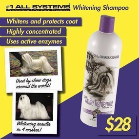 Dog Grooming
