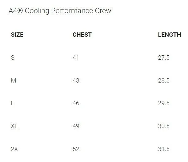 A4 Cooling Performance Tee D1