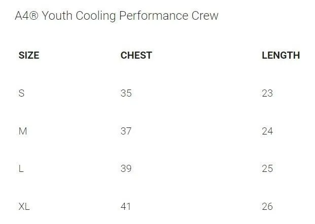 A4 Cooling Performance Tee D1