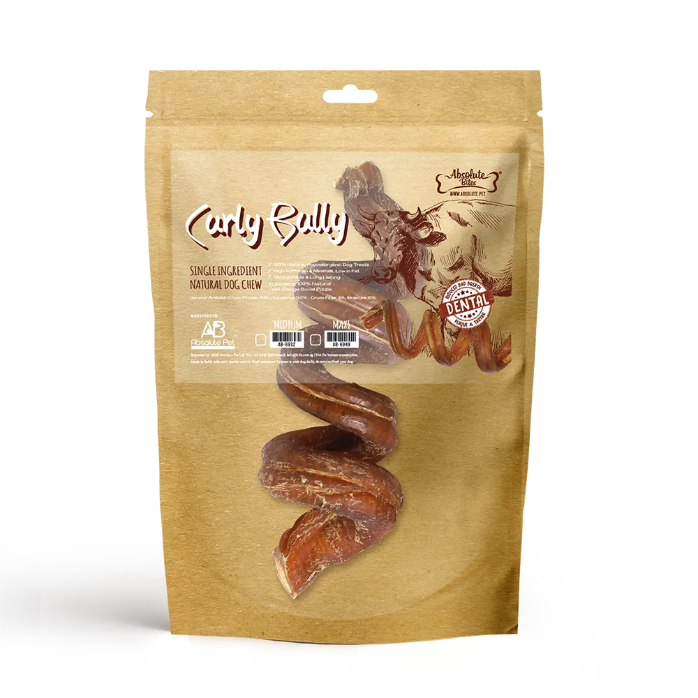 Absolute Bites Curly Bully Stick - Maxi 1pc