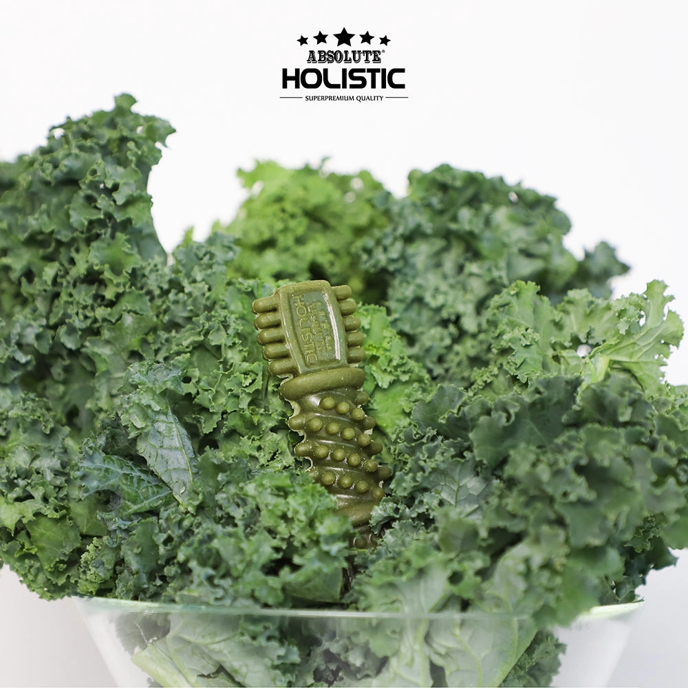 Absolute Holistic Dog Boost Dental Chew Kale 160g