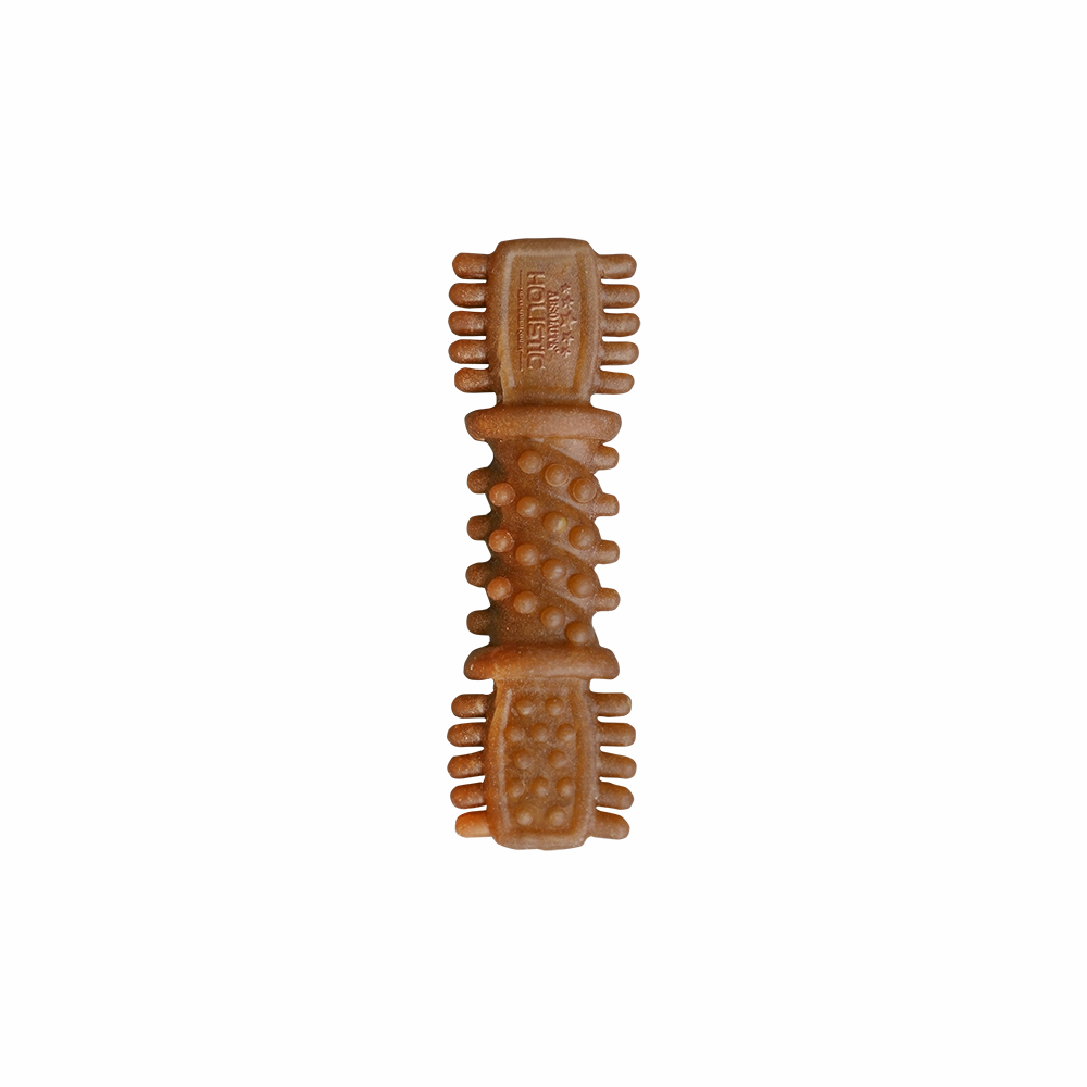 Absolute Holistic Dog Boost Dental Chew Pumpkin 25g (4")