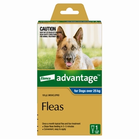 Advantage - Flea Treatment for Dogs over 25kg (1pk)