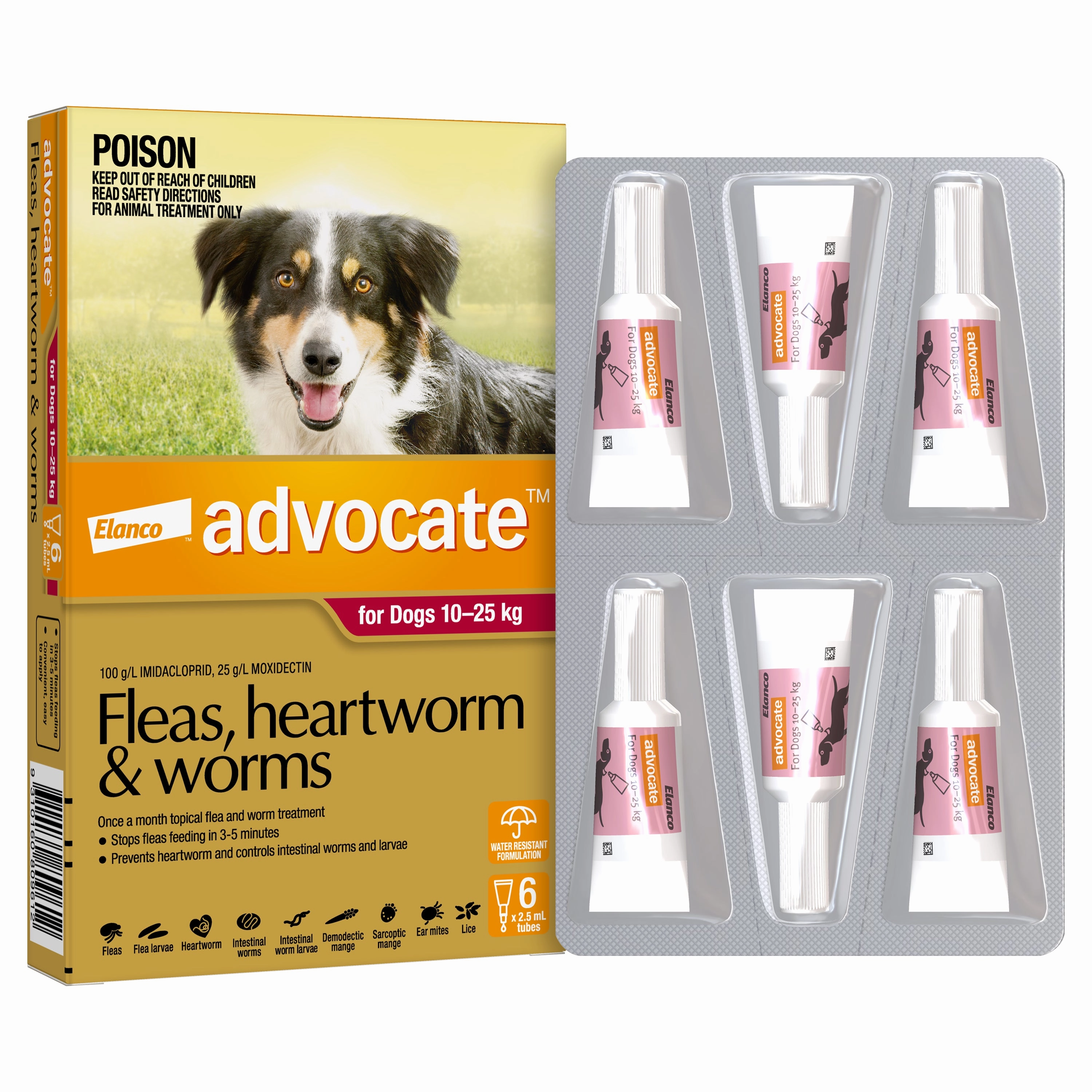 Advocate - Dog 10-25kg (6pk)