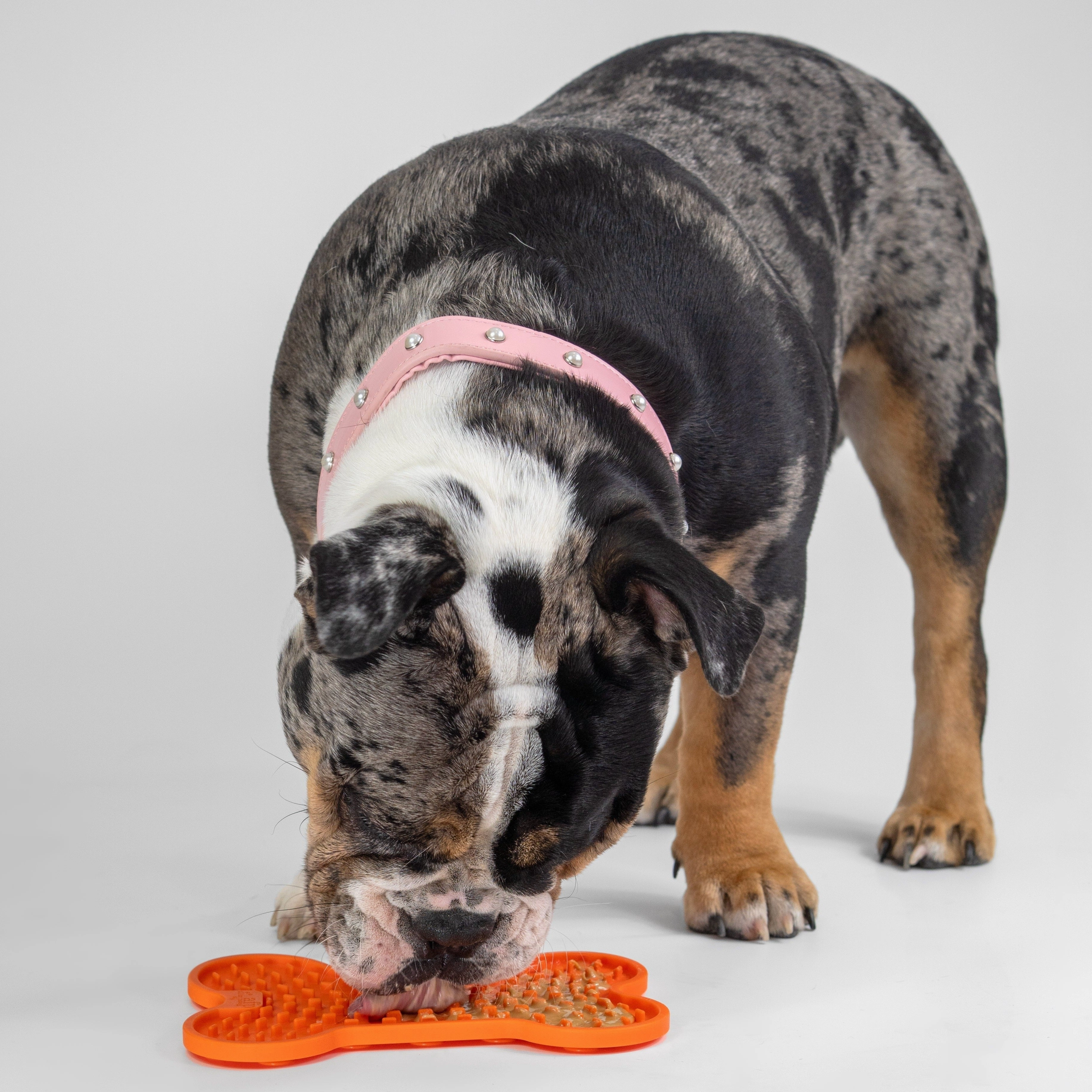 All for Paws - Lick Mat for Dogs (Large)