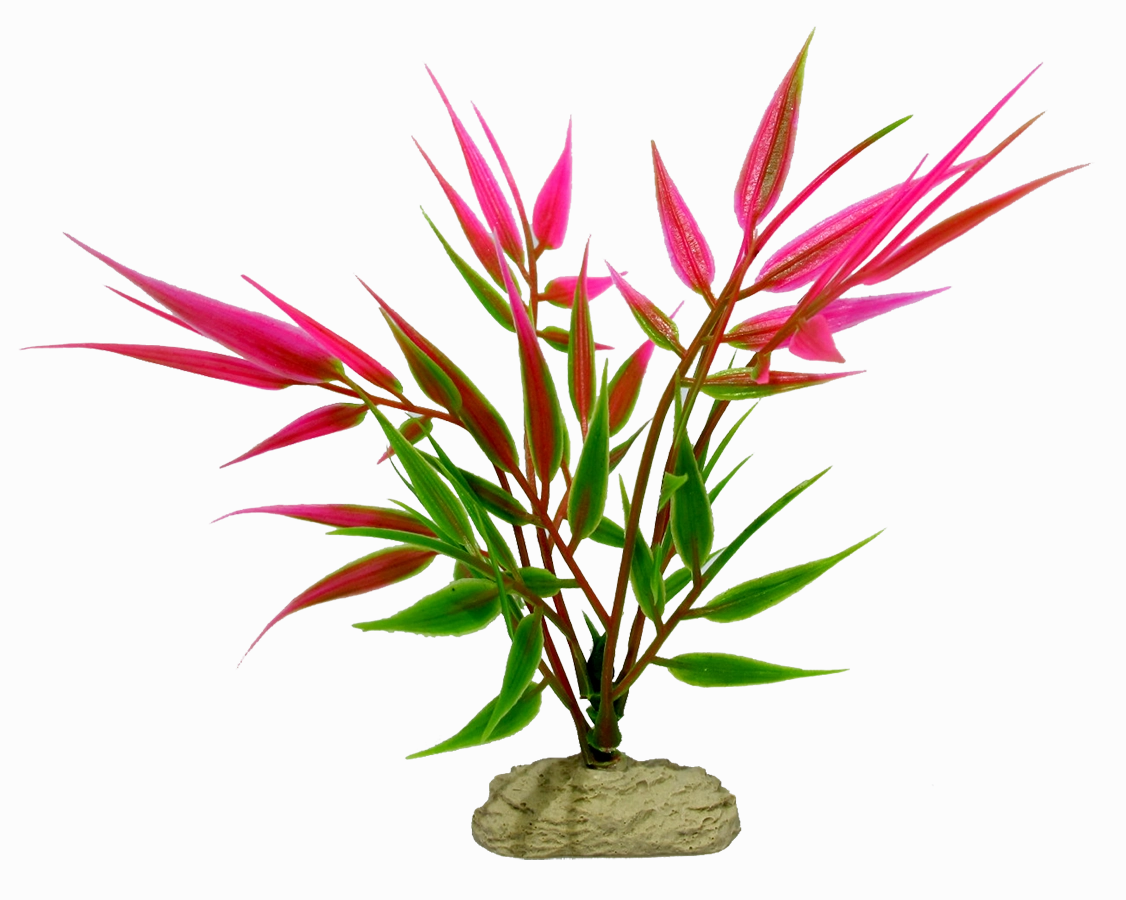 Aquamate - Betta Plants