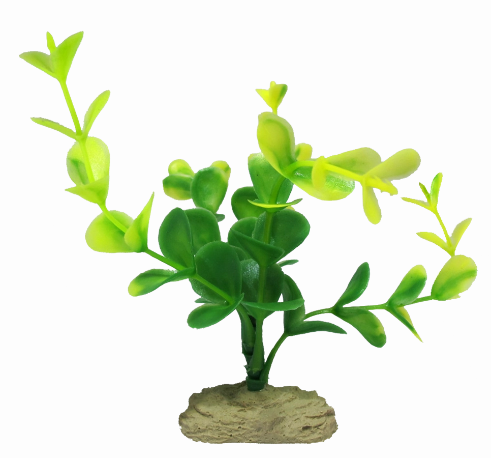 Aquamate - Betta Plants