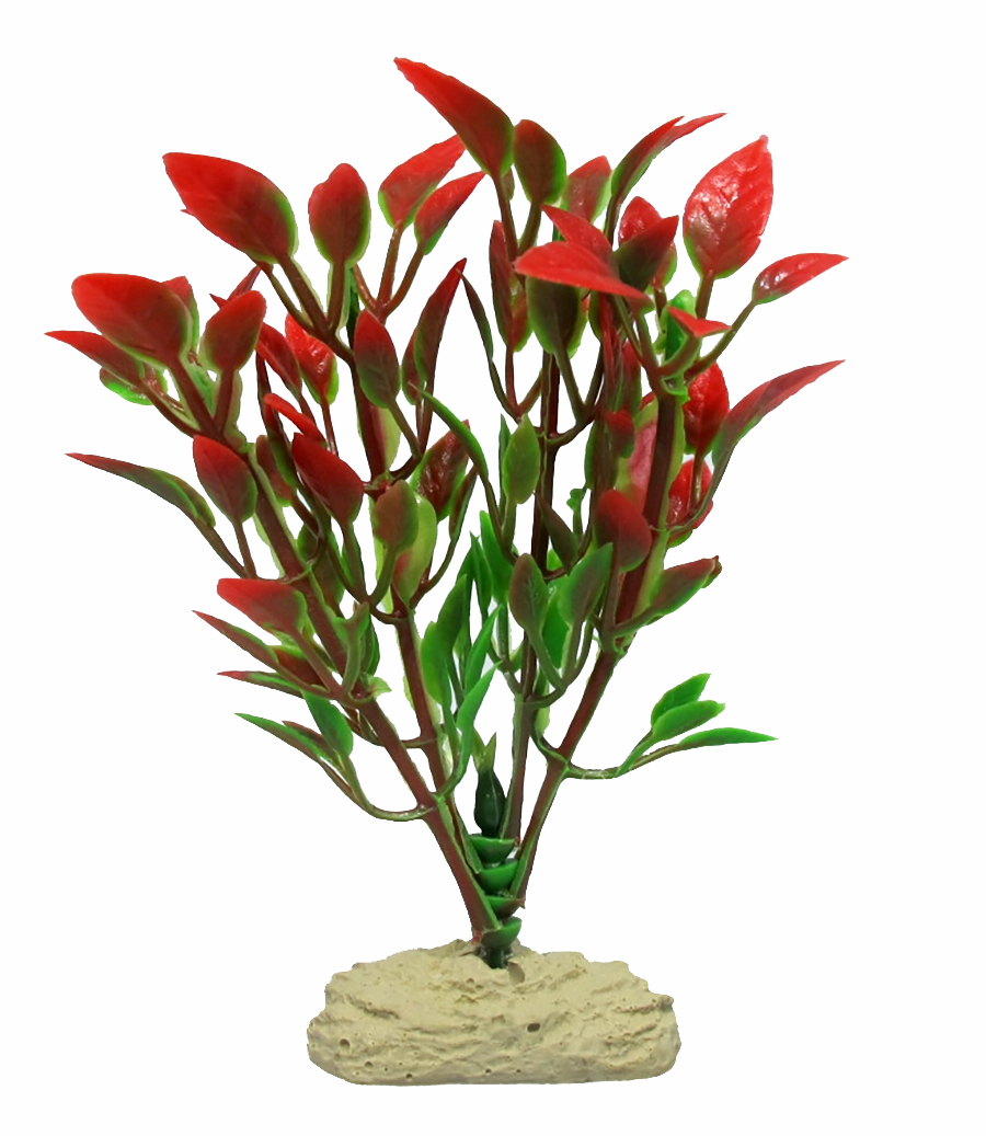 Aquamate - Betta Plants