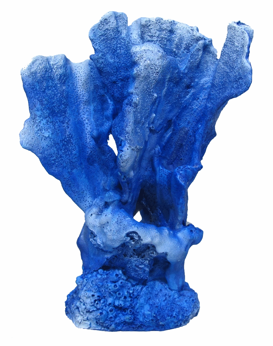 Aquamate - Corals (Large)