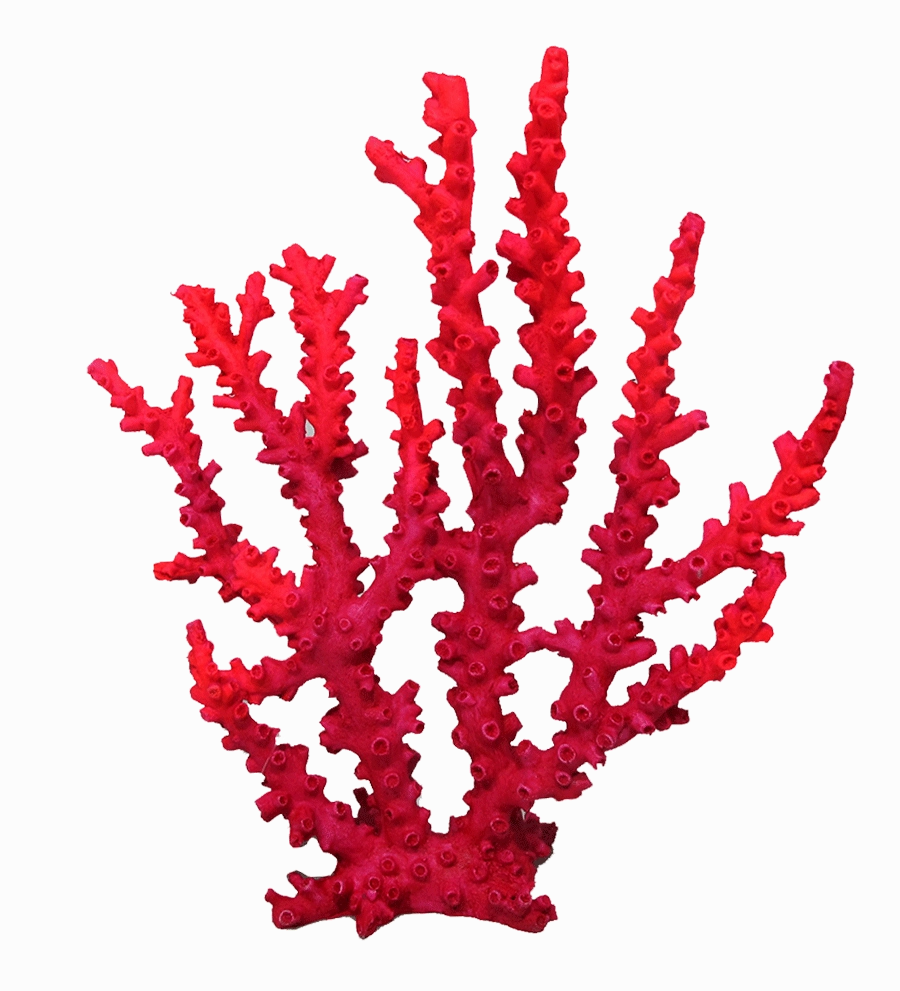 Aquamate - Corals (Large)