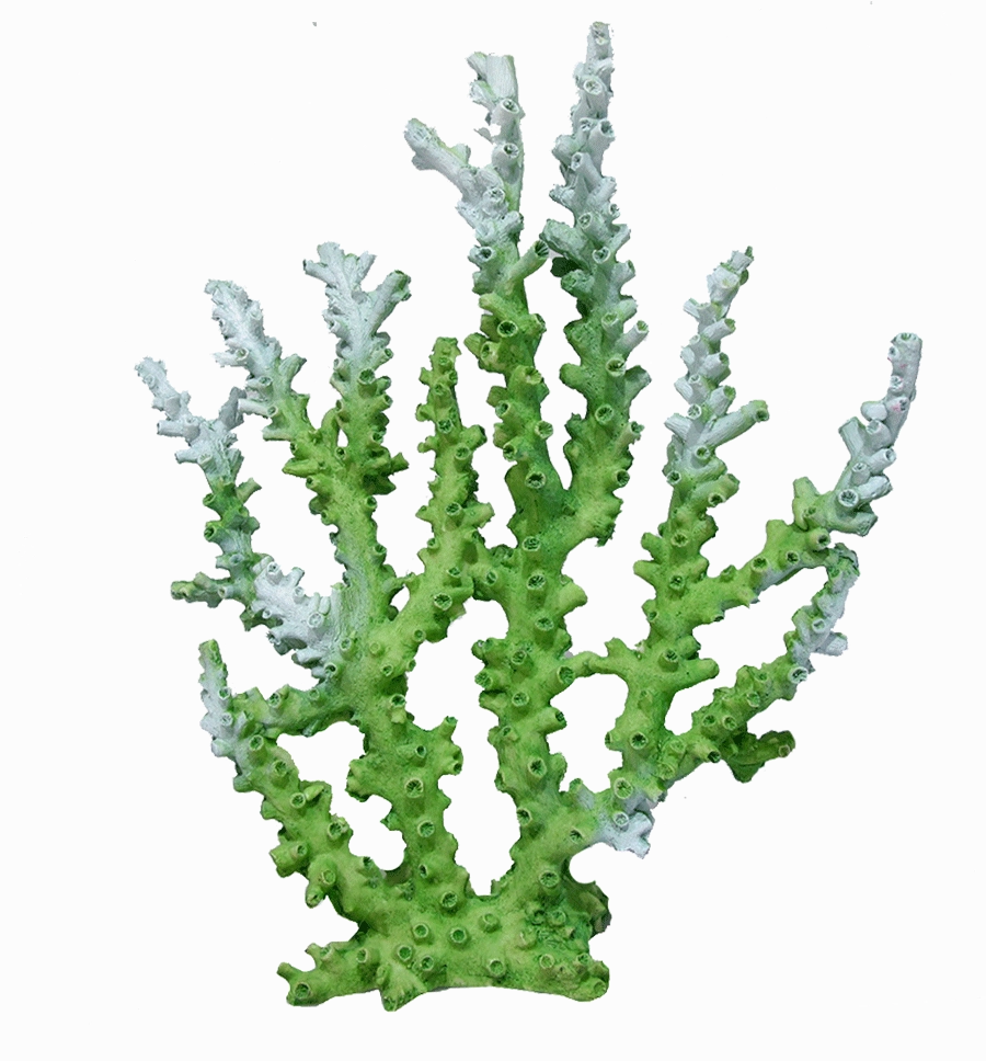 Aquamate - Corals (Large)