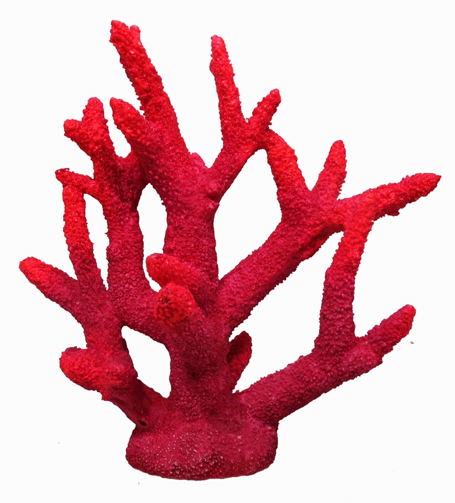 Aquamate - Corals (Medium)