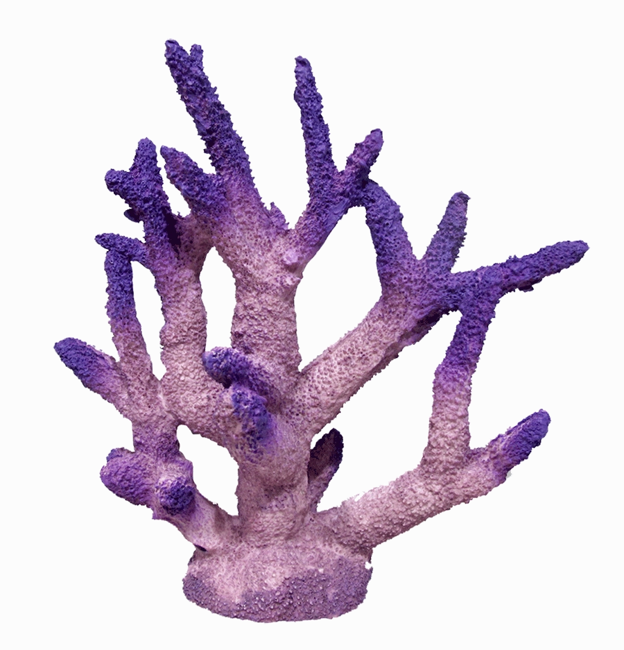 Aquamate - Corals (Medium)