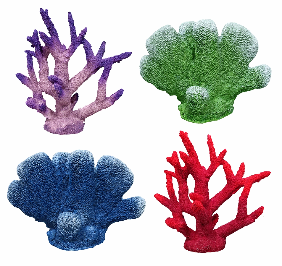 Aquamate - Corals (Medium)