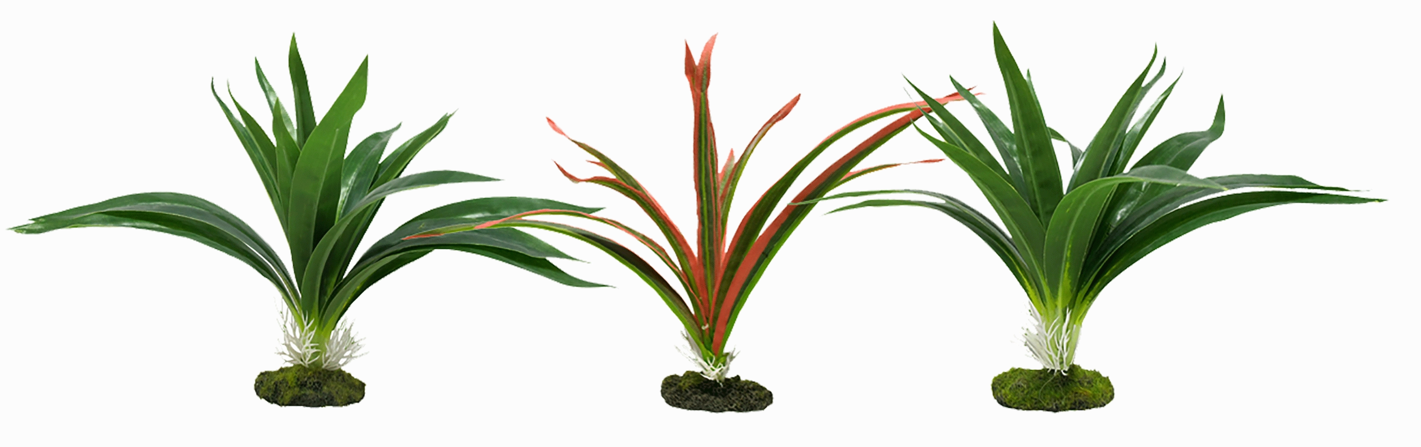 Aquamate - Jungle Gardens (Small)
