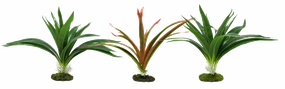 Aquamate - Jungle Gardens (Small)