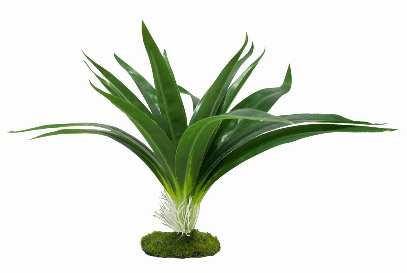 Aquamate - Jungle Gardens (Small)