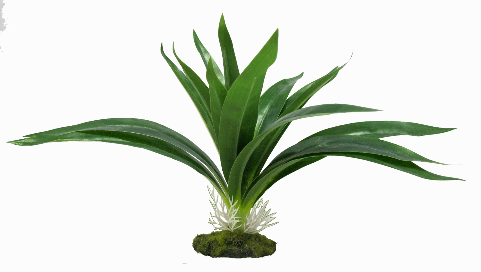 Aquamate - Jungle Gardens (Small)
