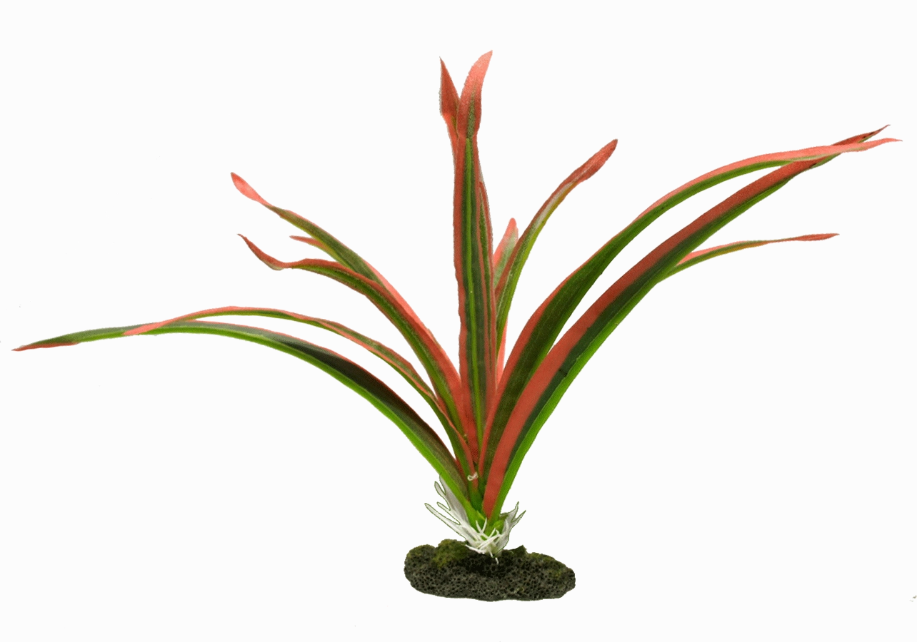 Aquamate - Jungle Gardens (Small)