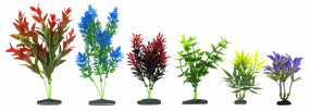 Aquamate - Natural Variety Plants (6pk)