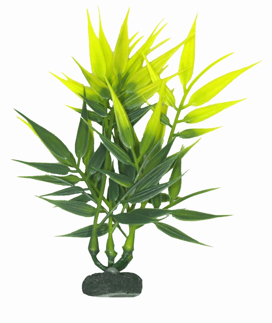 Aquamate - Natural Variety Plants (6pk)