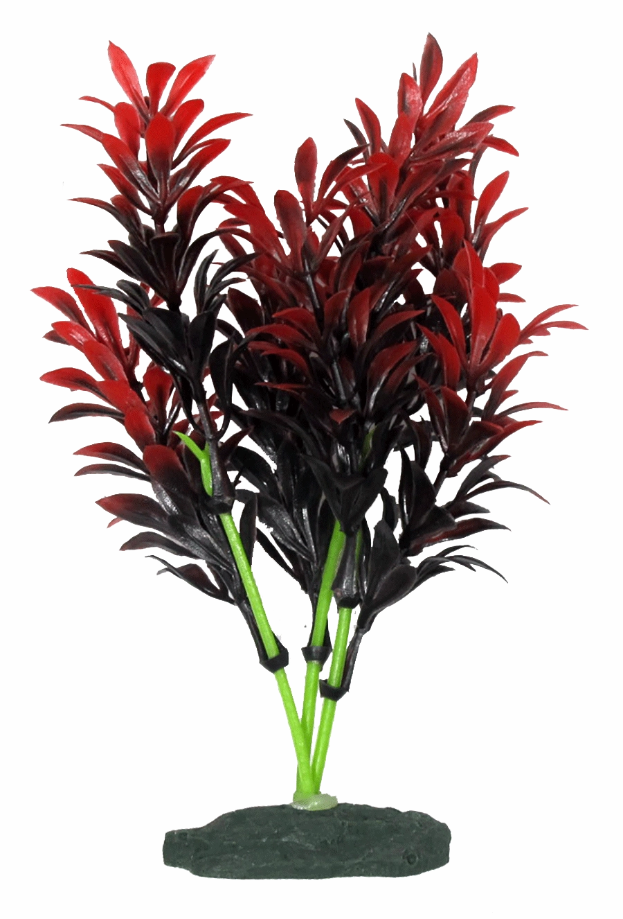 Aquamate - Natural Variety Plants (6pk)