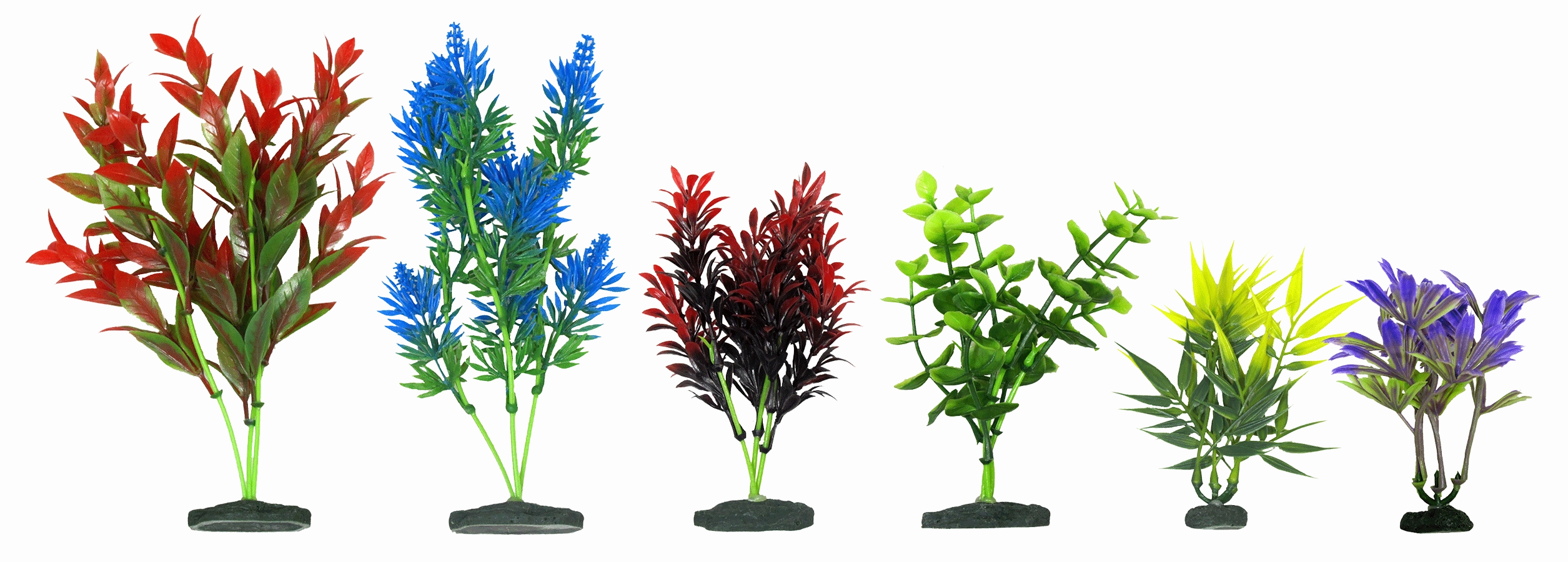 Aquamate - Natural Variety Plants (6pk)