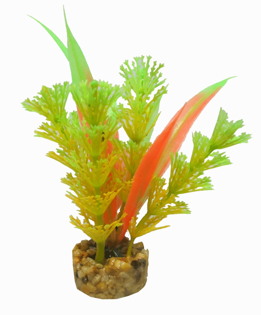 Aquamate - Natures Gardens (Betta)