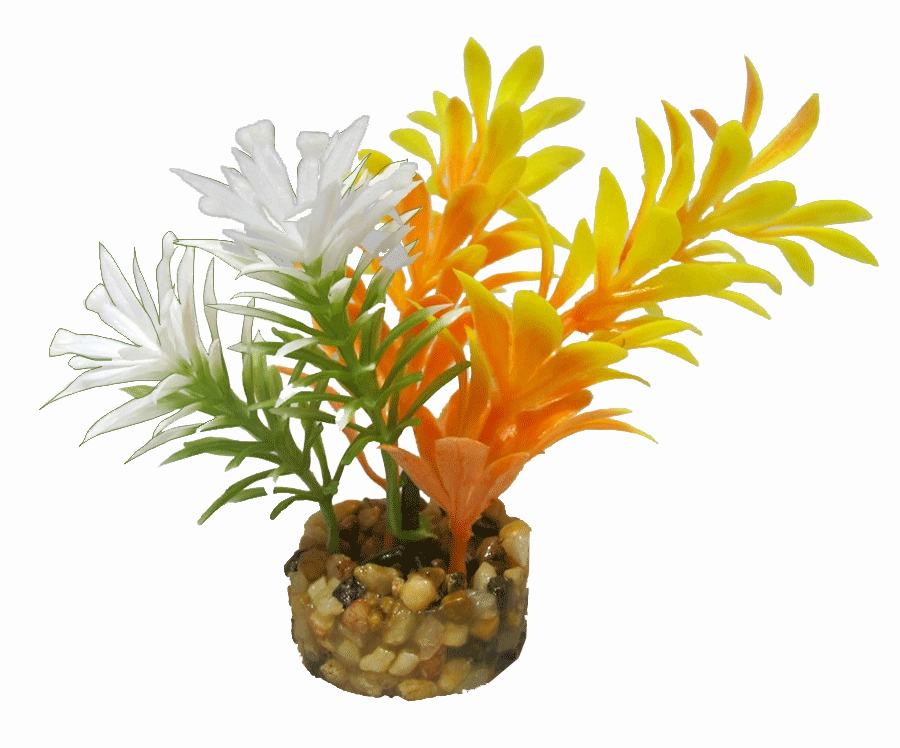 Aquamate - Natures Gardens (Betta)