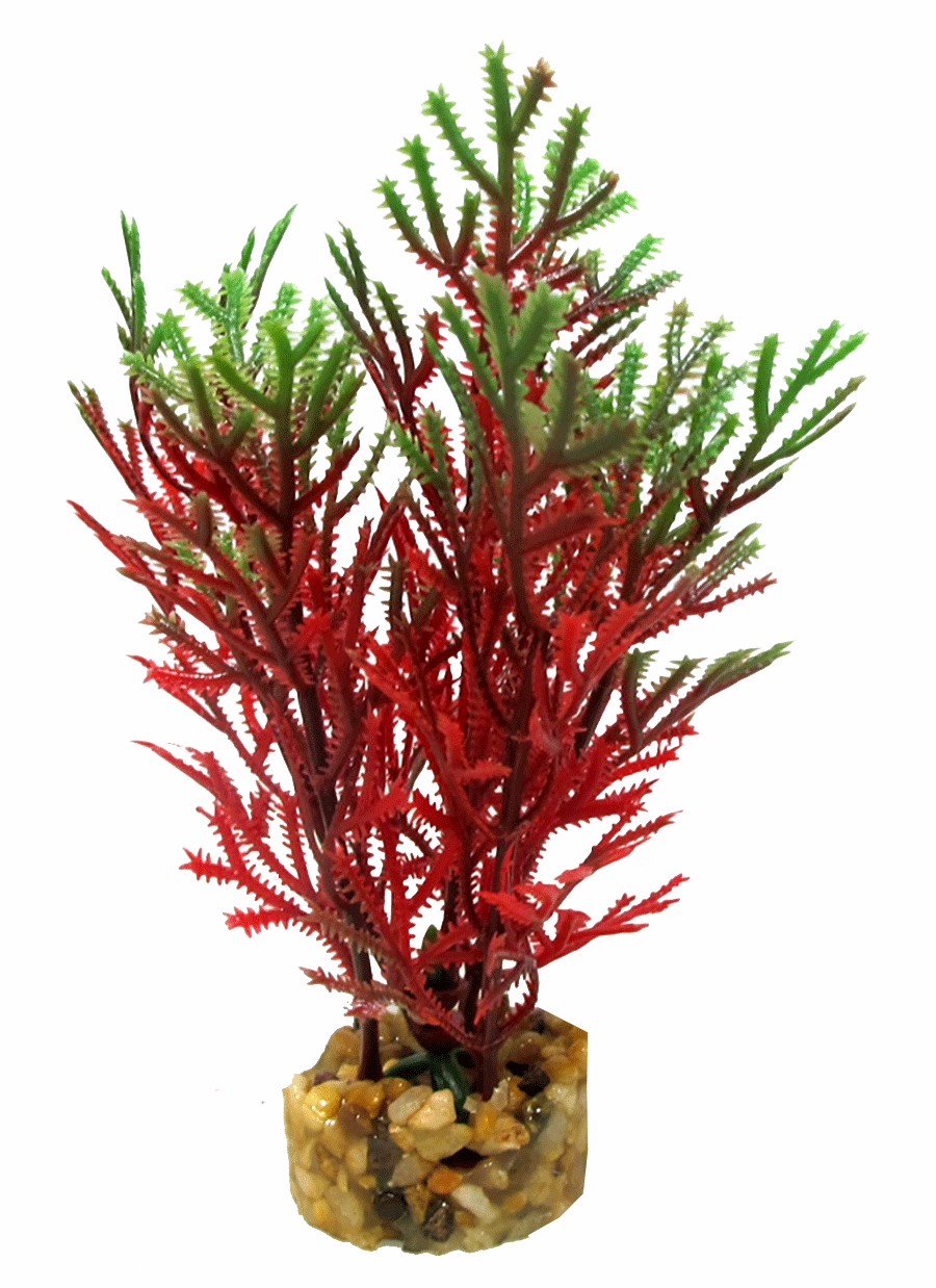 Aquamate - Natures Gardens (Betta)