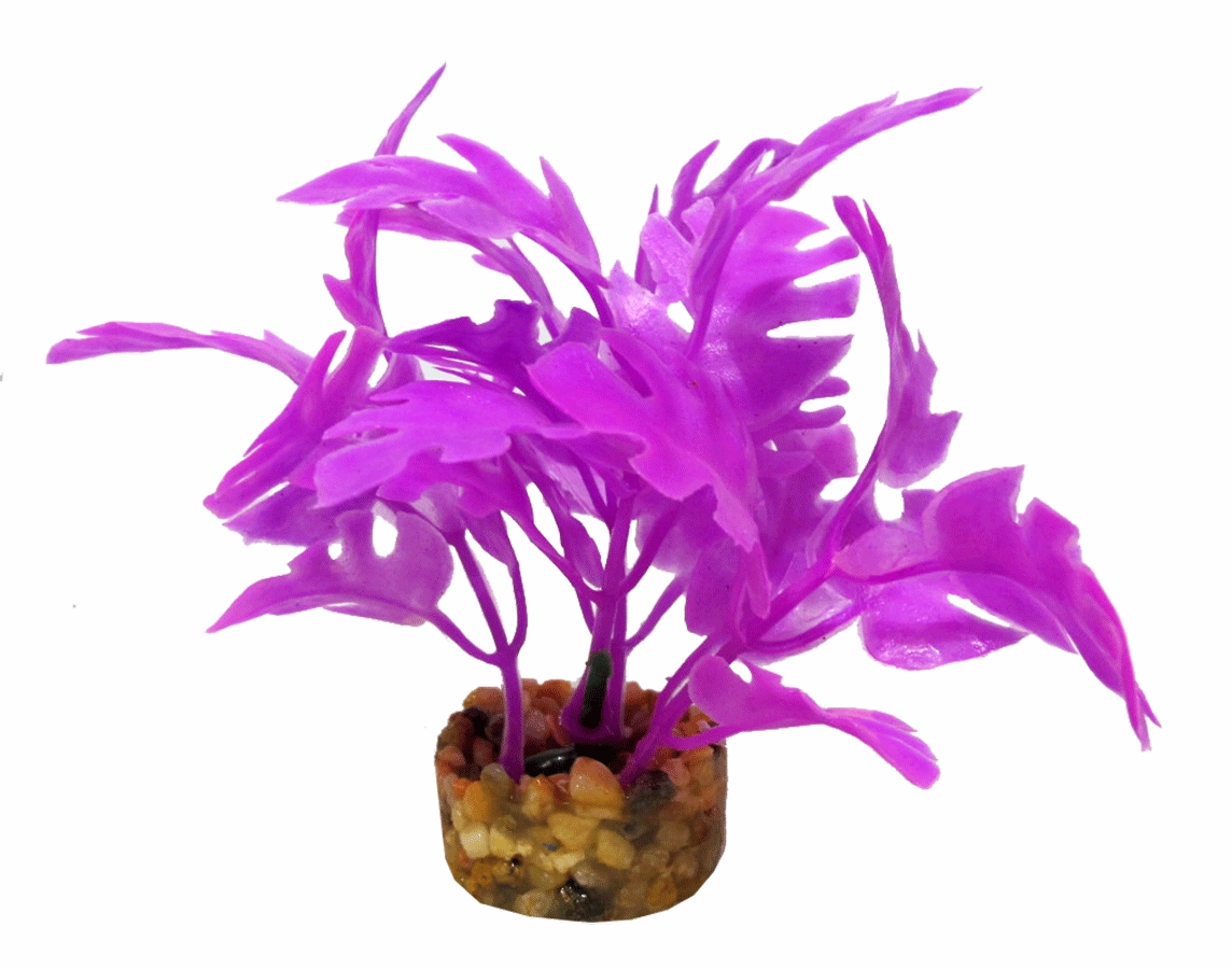 Aquamate - Natures Gardens (Betta)