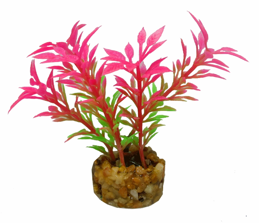 Aquamate - Natures Gardens (Betta)