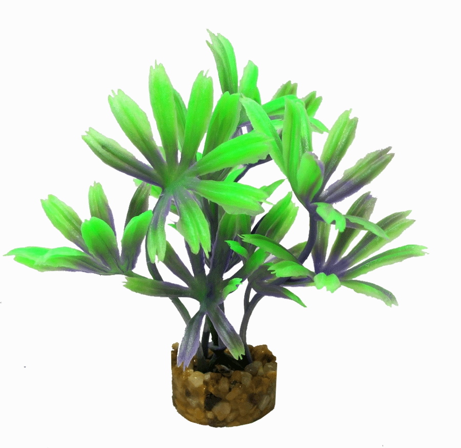 Aquamate - Natures Gardens (Betta)