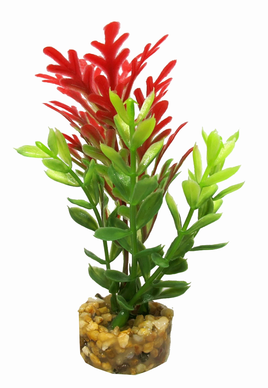 Aquamate - Natures Gardens (Betta)