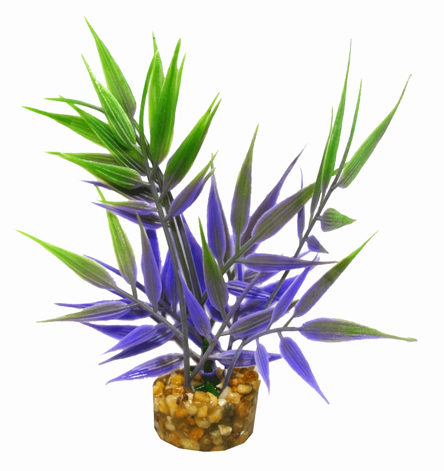 Aquamate - Natures Gardens (Betta)