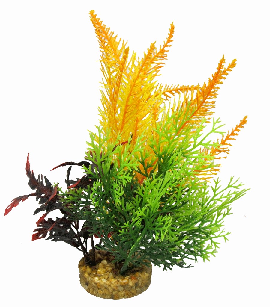 Aquamate - Natures Gardens (Medium)