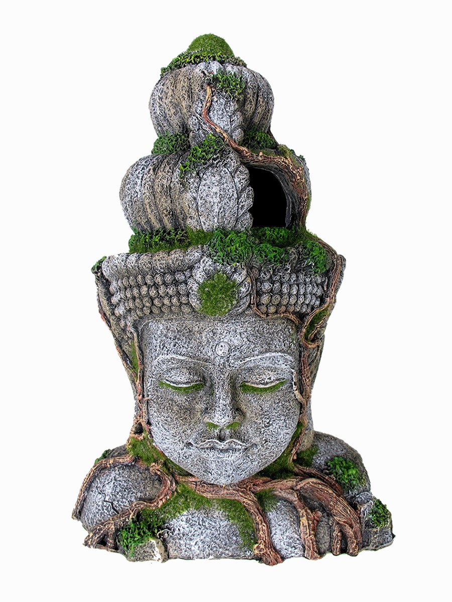 Aquamate - Ornament Asian Theme