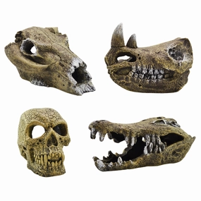 Aquamate - Ornament Skull (Med)