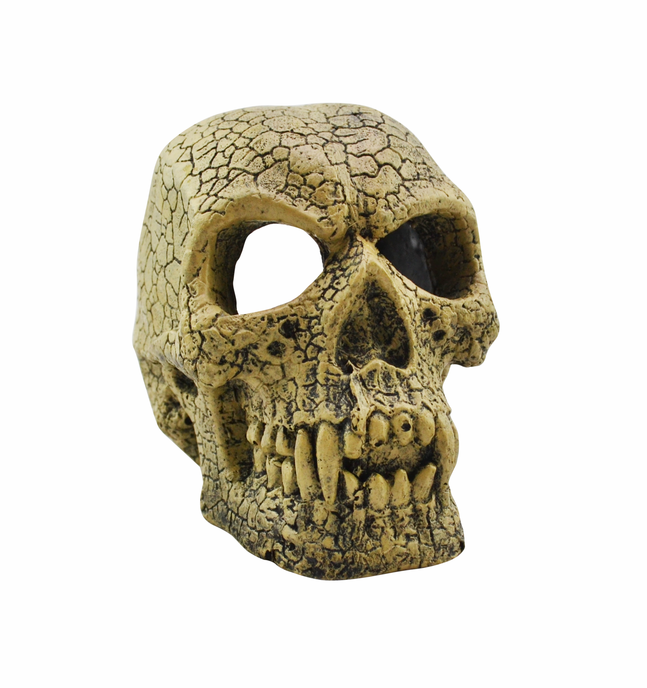 Aquamate - Ornament Skull (Med)