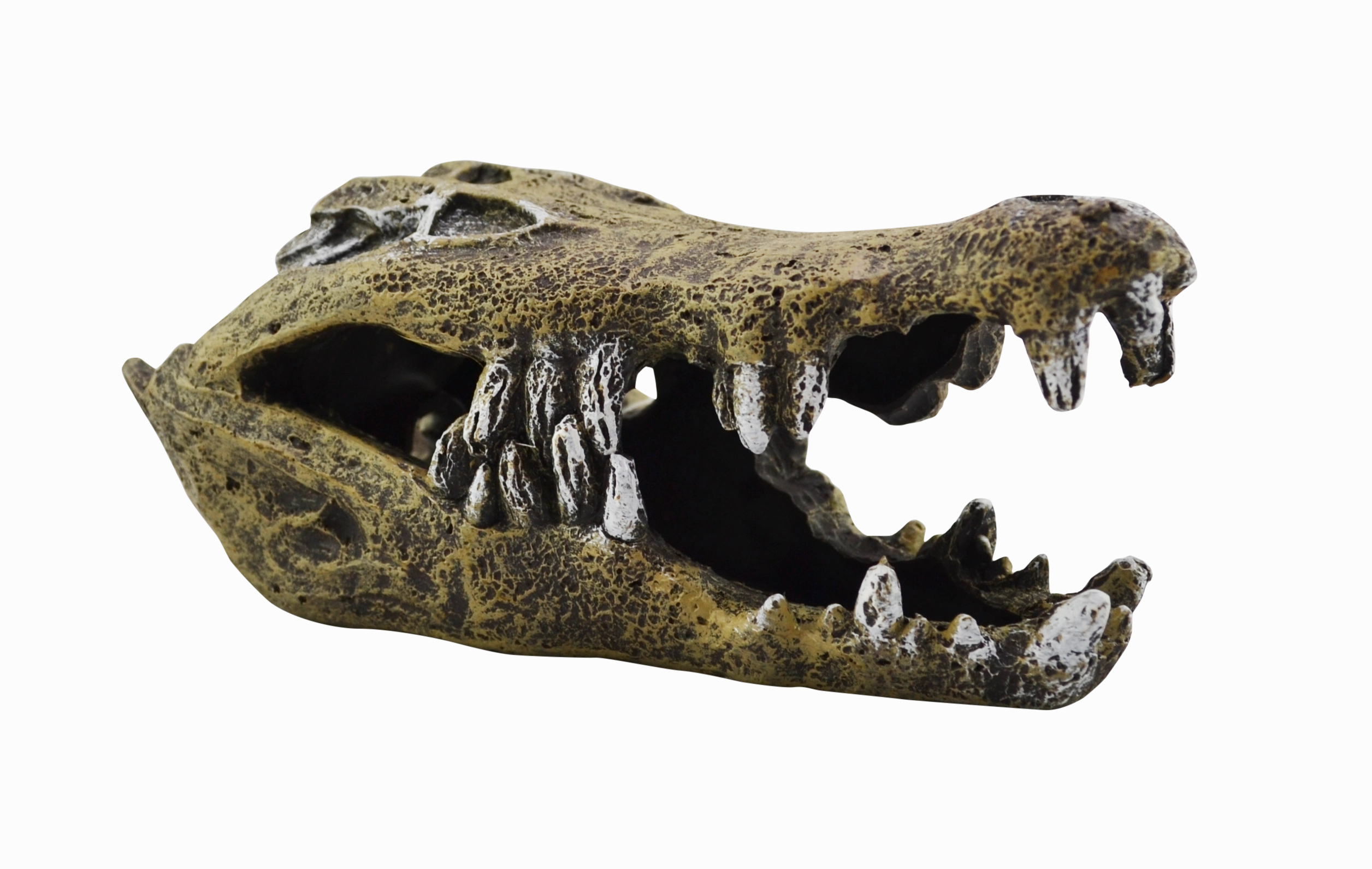 Aquamate - Ornament Skull (Med)