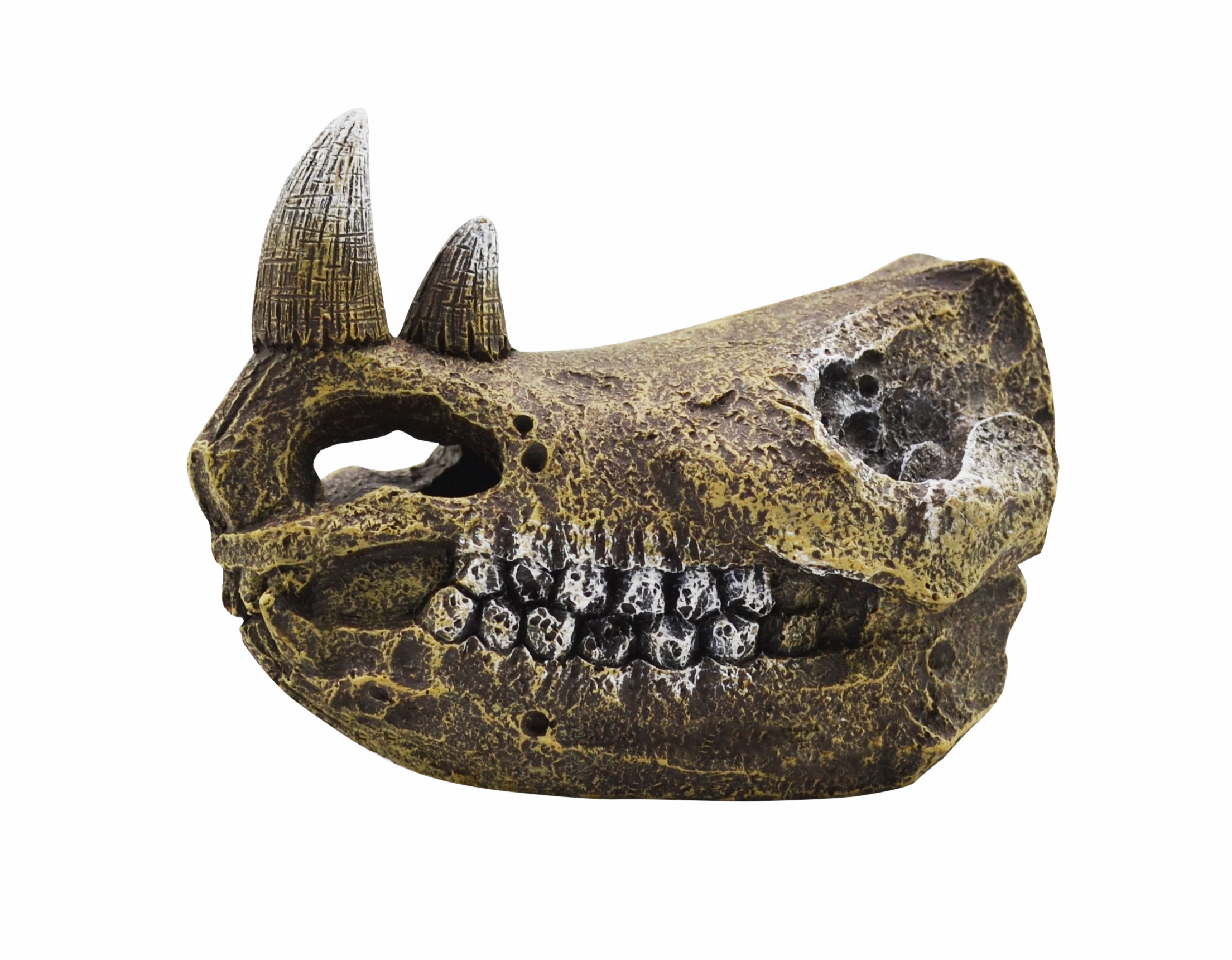 Aquamate - Ornament Skull (Med)