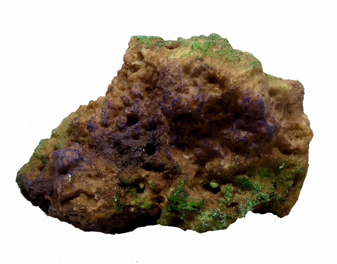 Aquamate - Reef Rocks (6pk)
