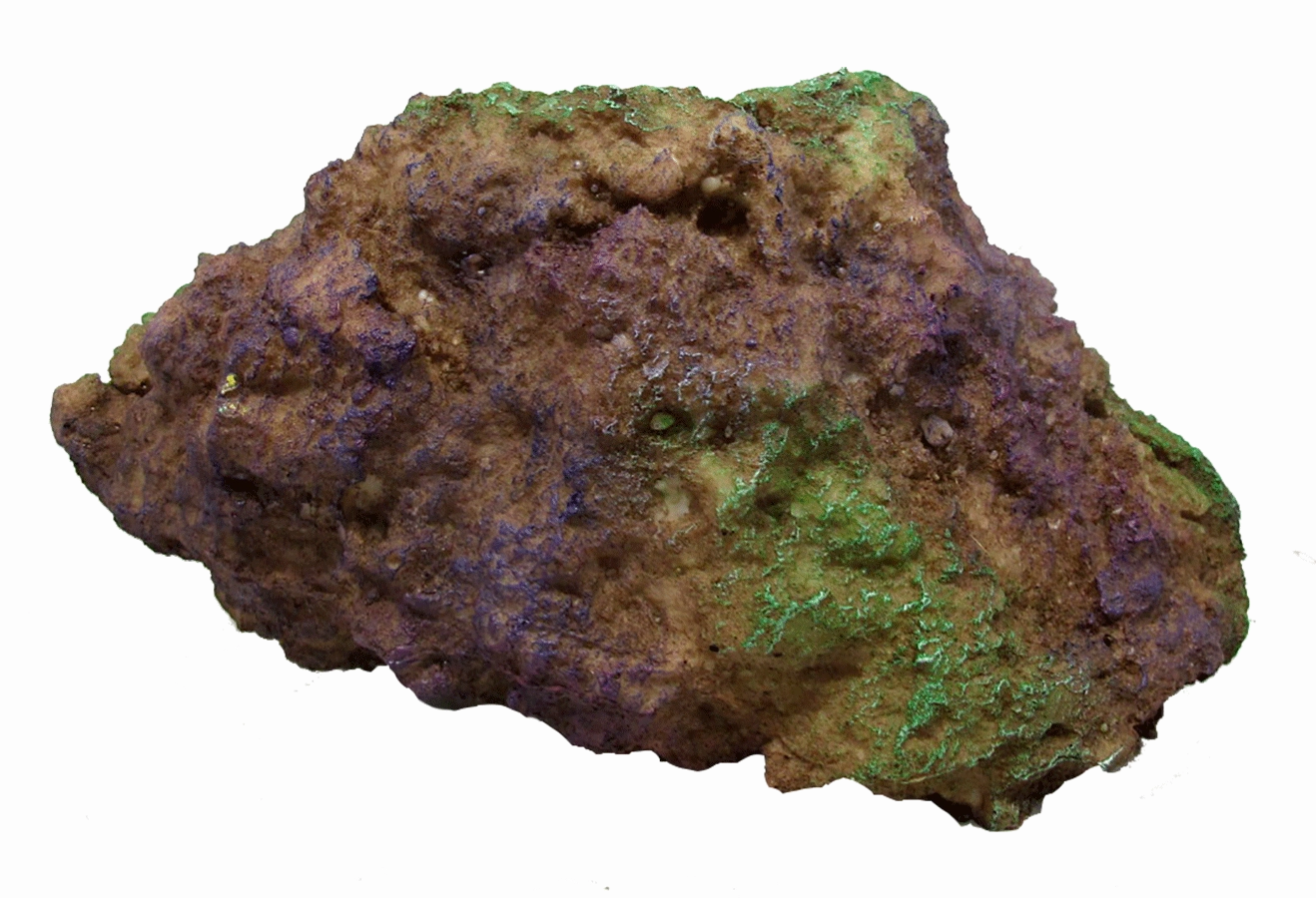 Aquamate - Reef Rocks (6pk)
