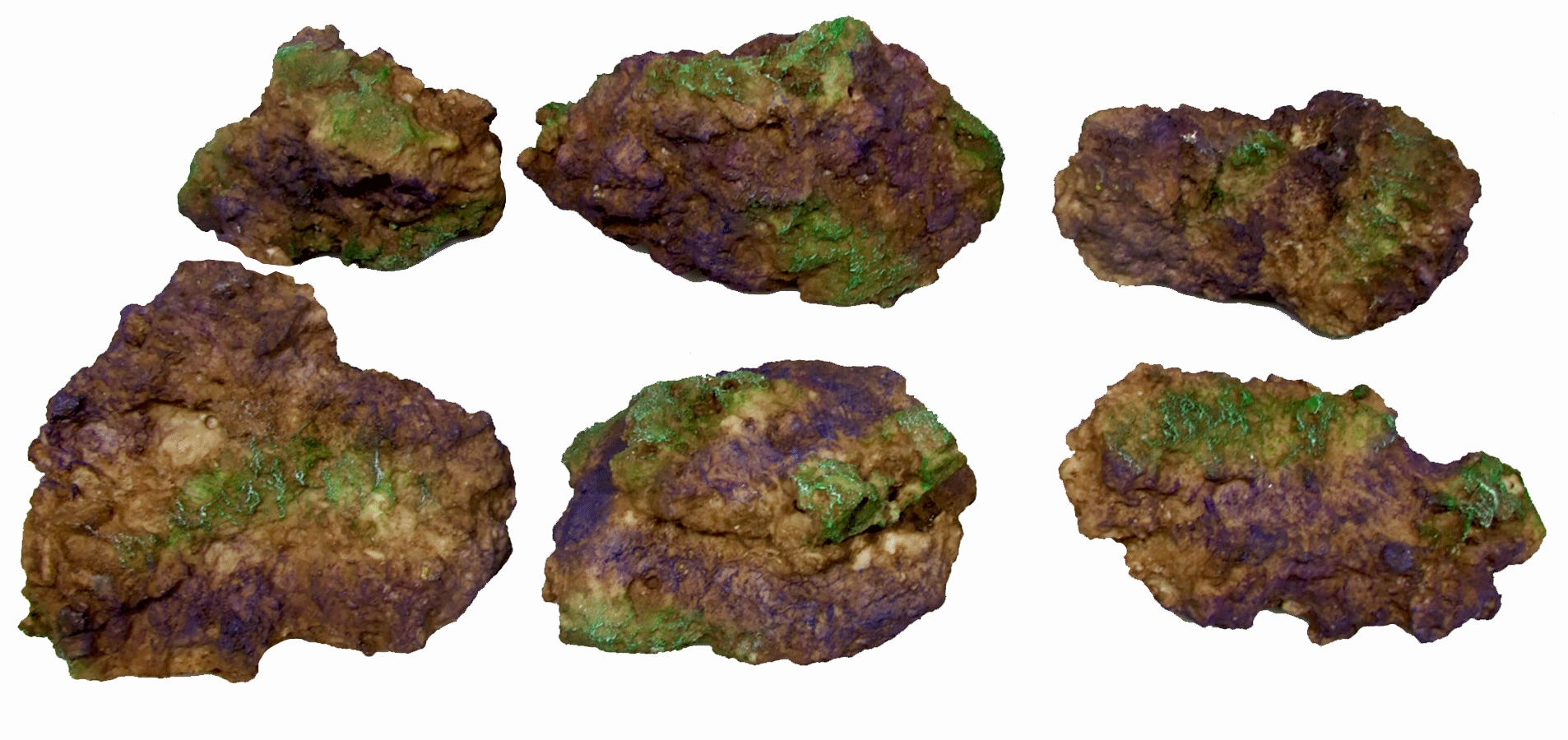 Aquamate - Reef Rocks (6pk)