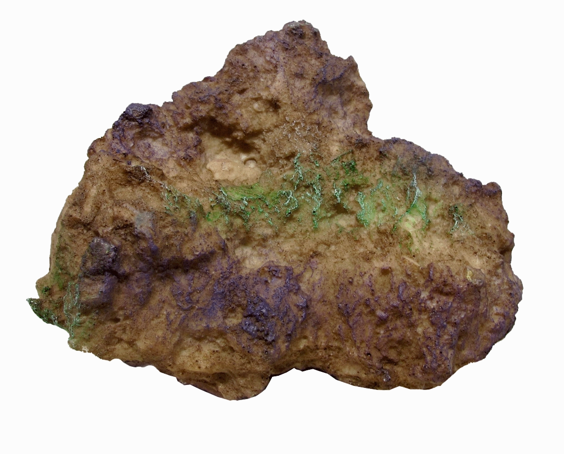 Aquamate - Reef Rocks (6pk)