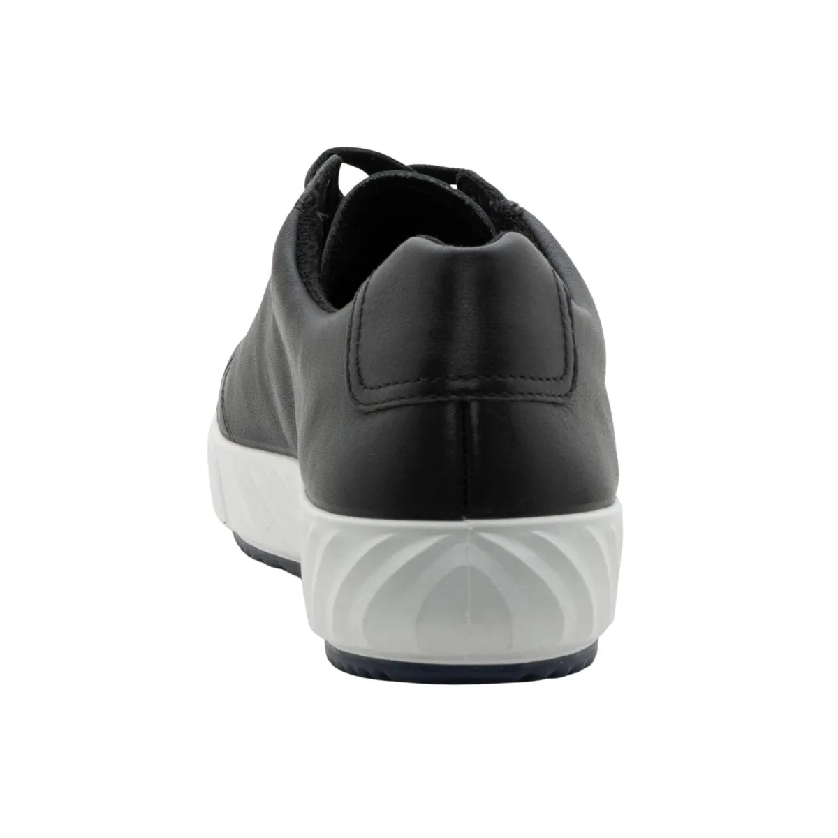 Ara Women's Alexandria Black Leather/White Sole Ara Shoes