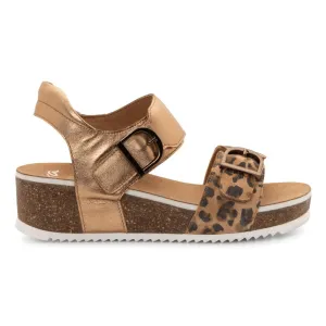 Ara Women's Nova Leopard/Whiskey Leather Ara Shoes