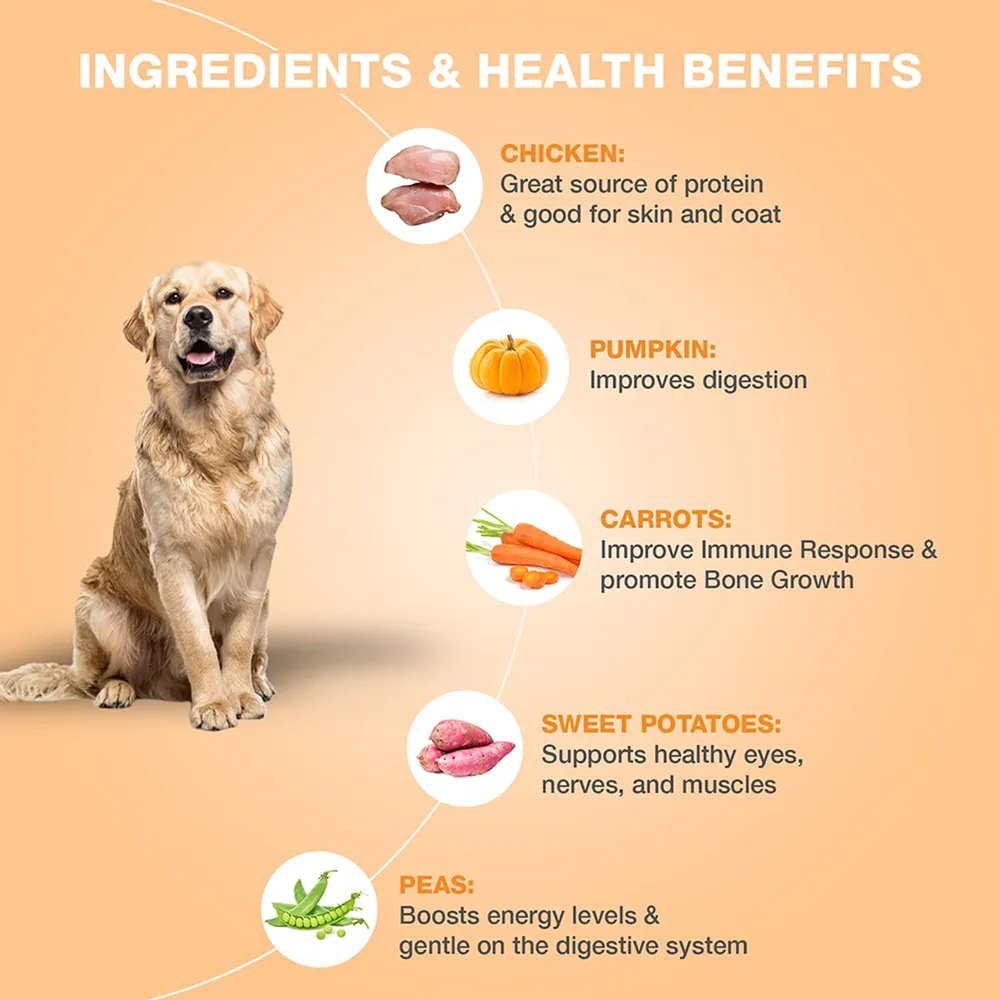 Bennys Bowl Chicken and Pumpkin Dog Fresh and Wet Food