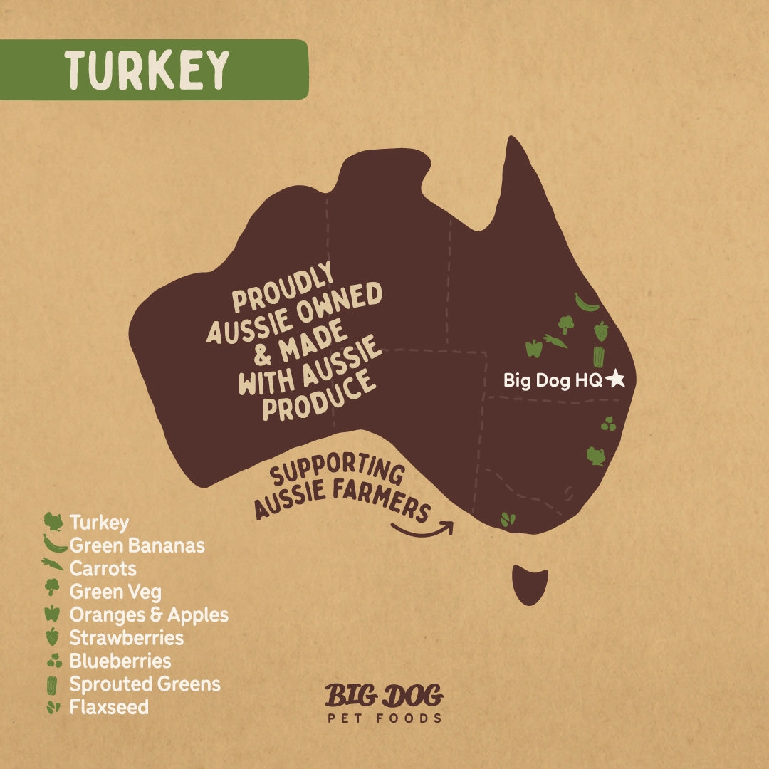 Big Dog - Turkey Allergy for Dogs (3kg)